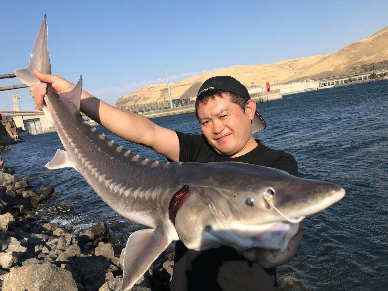 Angler holding trophy sturgeon
