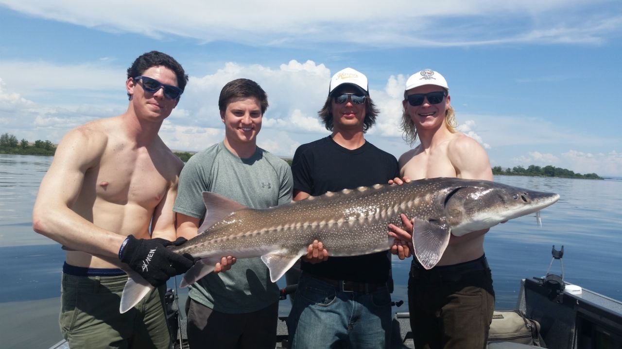 Group of anglers with a large sturgeon
