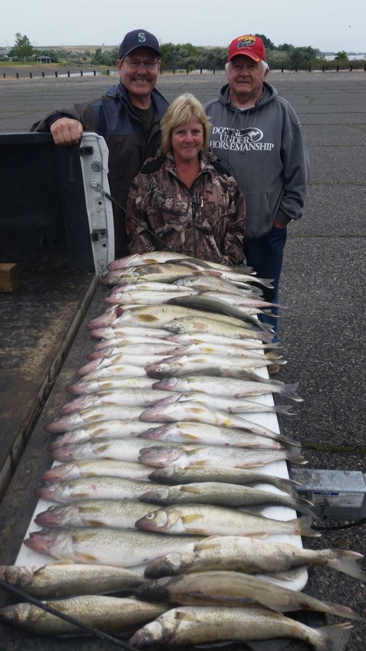 Anglers with a day of walleye catch
