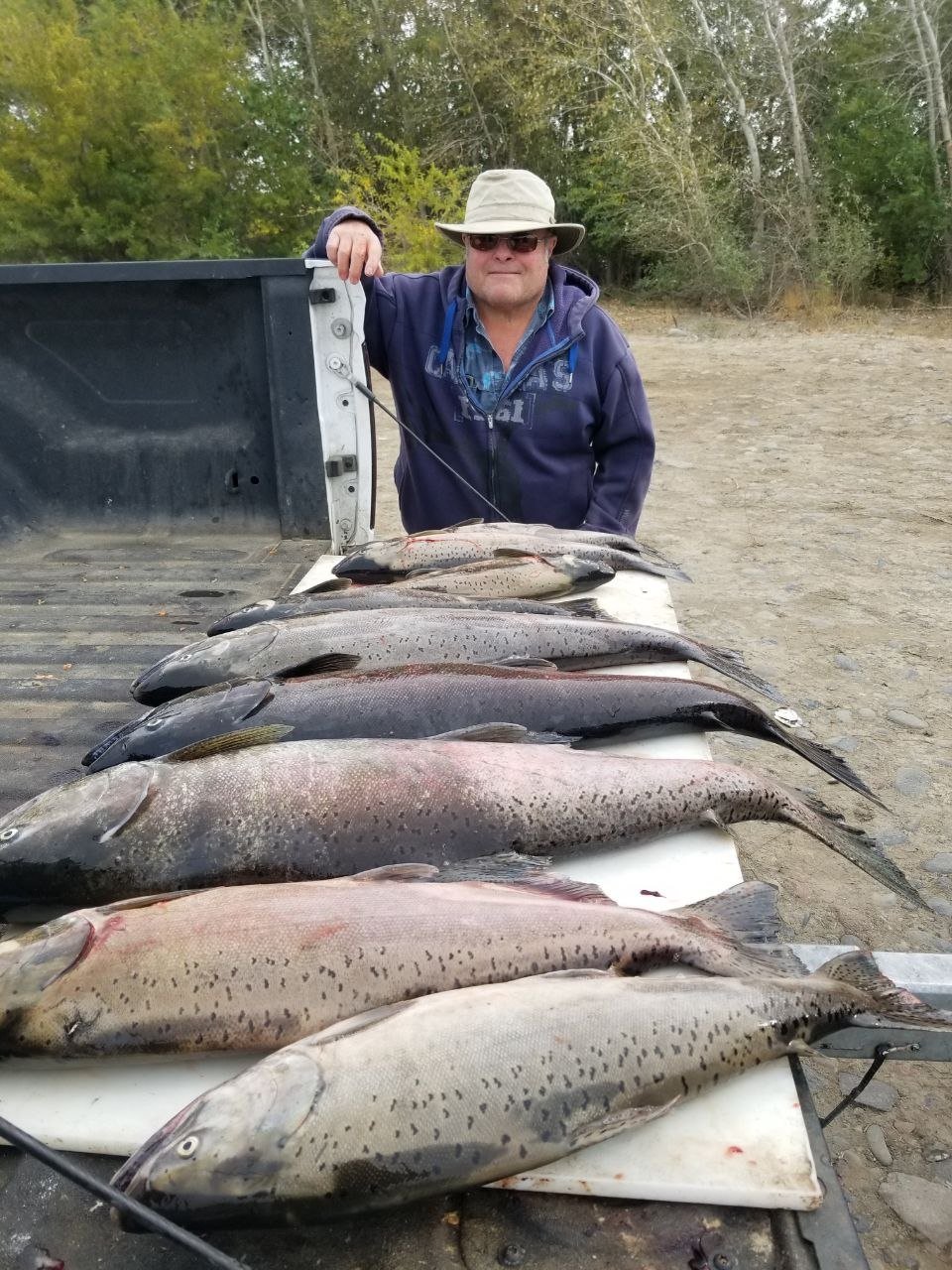 Salmon catch laid out after fishing